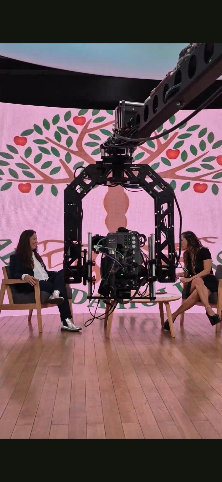 Entrevista en set de televisión